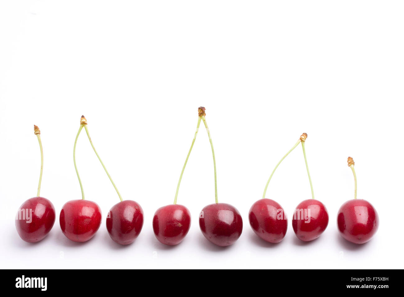 Rangée de cerises rouges sur fond blanc Banque D'Images