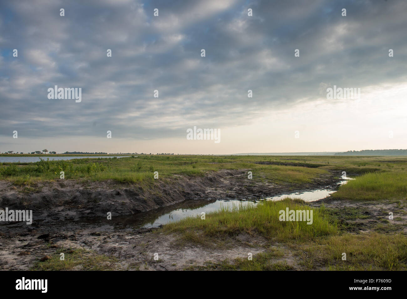 Kasane, Botswana - Chobe National Park Banque D'Images