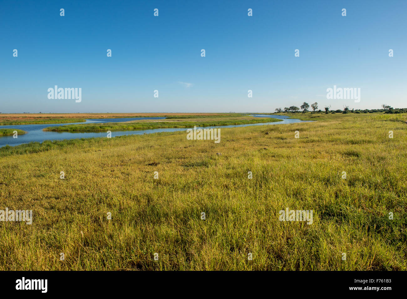 Kasane, Botswana - Chobe National Park Banque D'Images