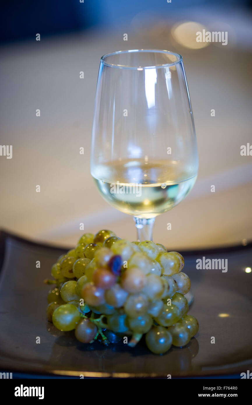 L'AFRIQUE DU SUD- raisin vert devant un verre de vin blanc. Banque D'Images