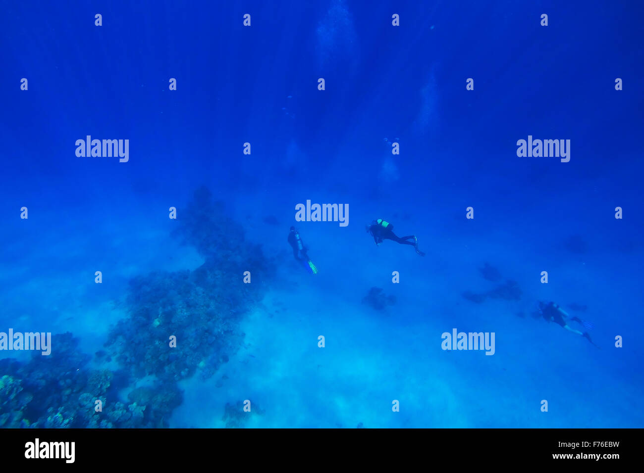 Les récifs coralliens de la mer rouge avec des coraux durs, poissons et ciel ensoleillé brille à travers l'eau propre - photo sous-marine Banque D'Images