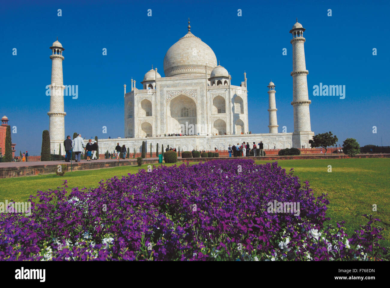 Taj Mahal, Agra, Delhi, Inde, Asie Banque D'Images