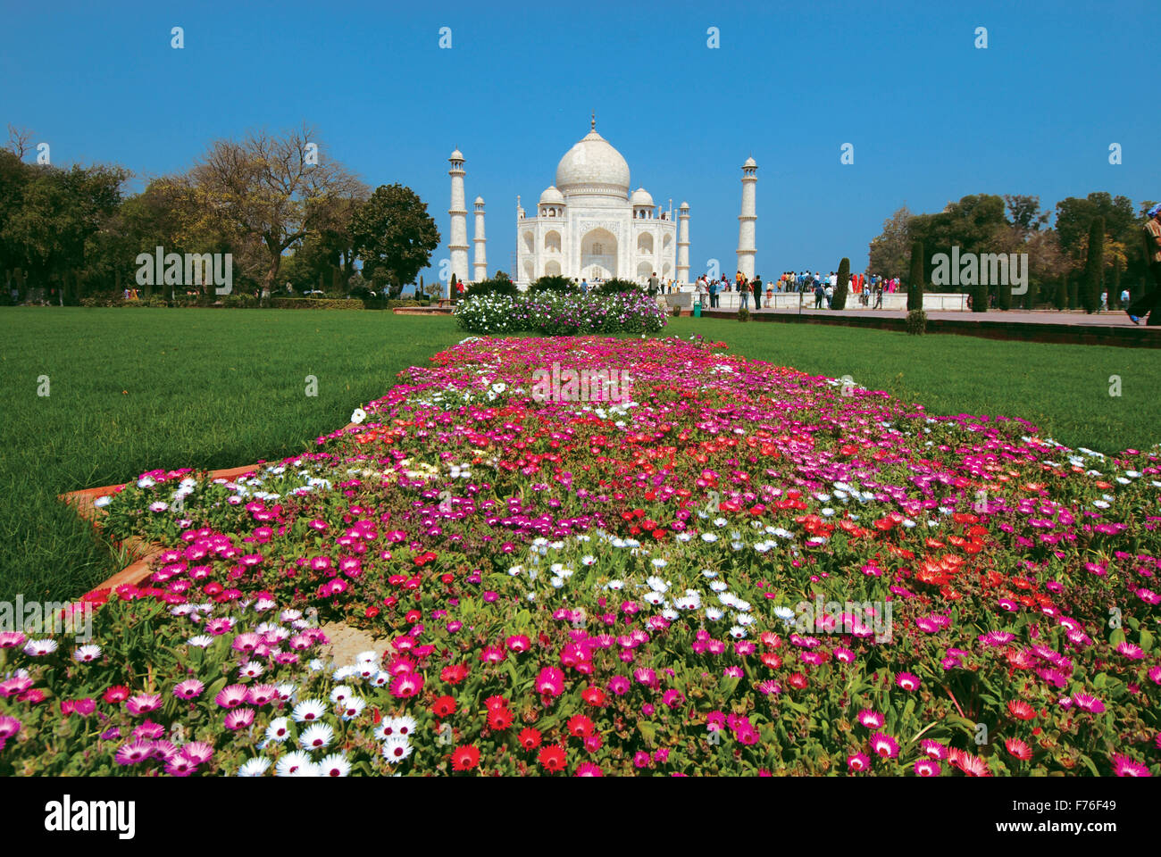 Taj Mahal, Agra, Delhi, Inde, Asie Banque D'Images