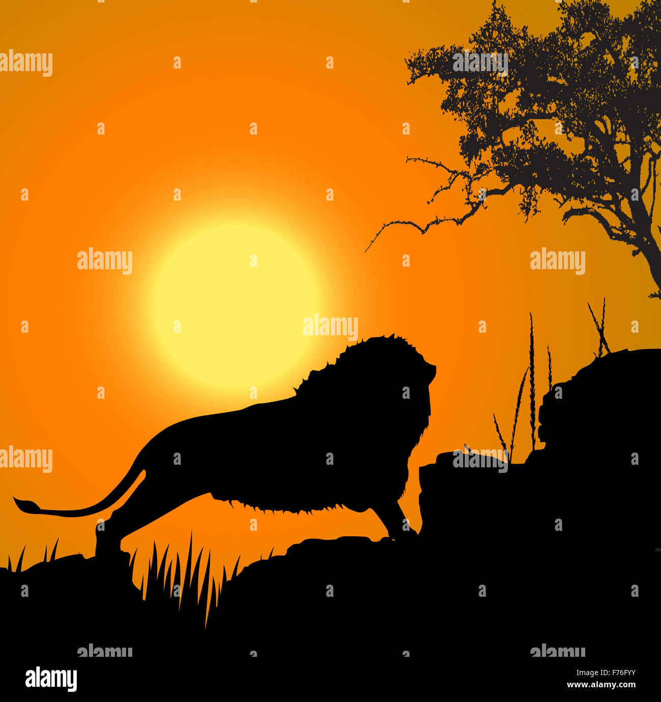 Voir la silhouette du lion, de la faune, de l'arrière-plan de Sun Banque D'Images