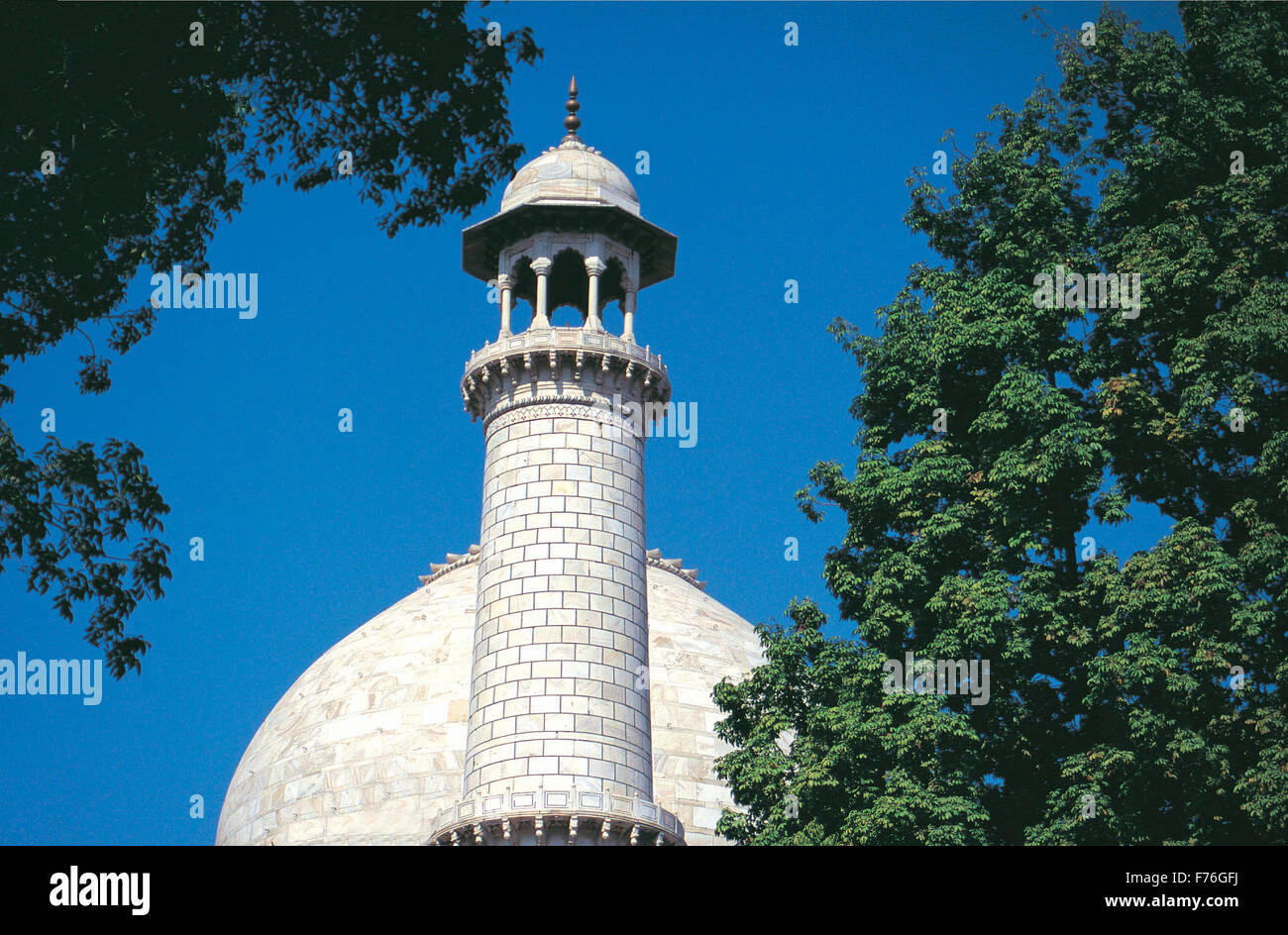 Haut de Taj Mahal, Agra, Delhi, Inde, Asie Banque D'Images