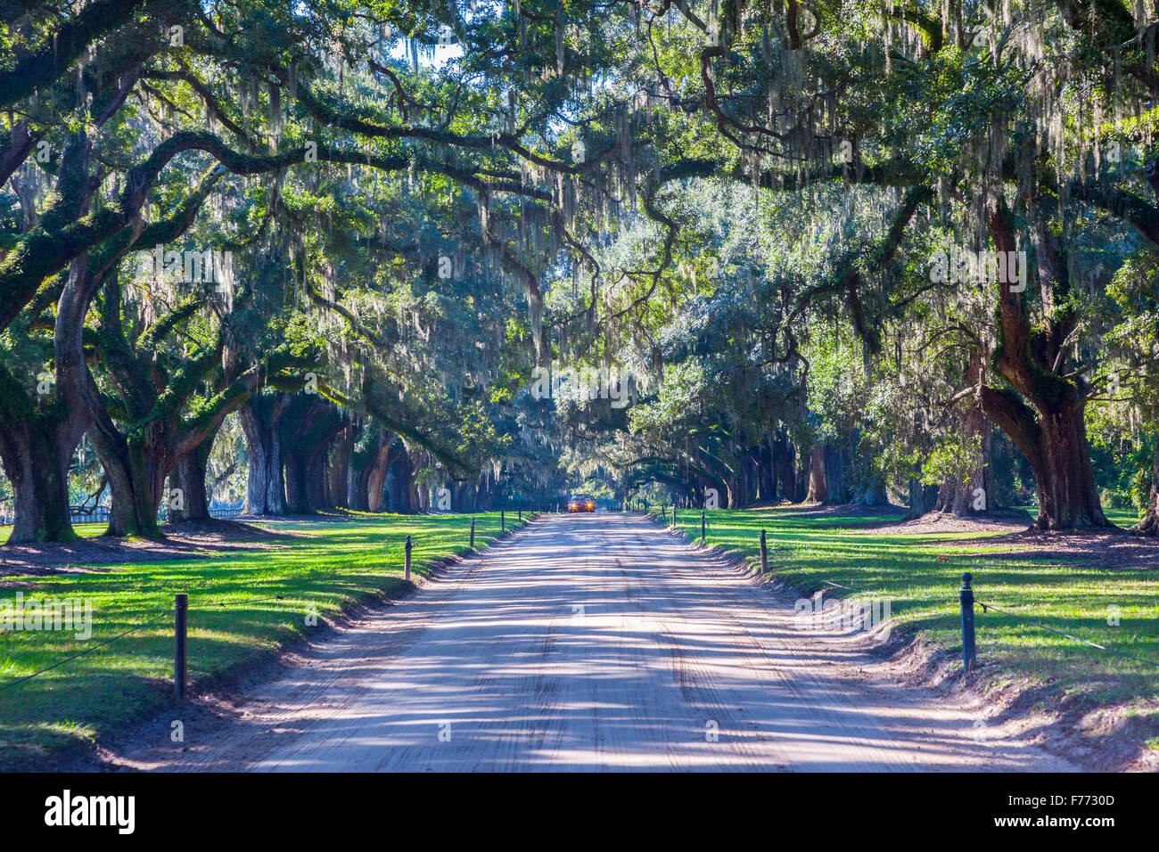 Boone Hall Plantation Charleston, Caroline du Sud. Banque D'Images