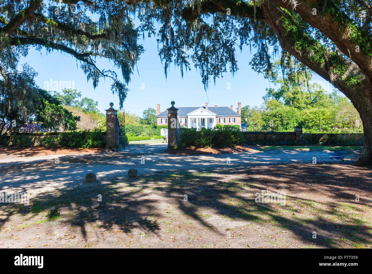 Boone Hall Plantation, Charleston, Caroline du Sud. Banque D'Images