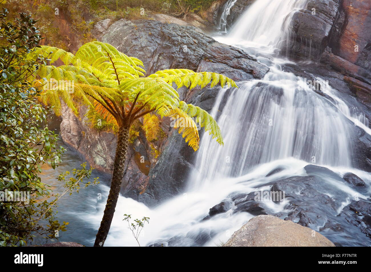 Sri Lanka - Horton Plain Parc National, cascade Baker Banque D'Images