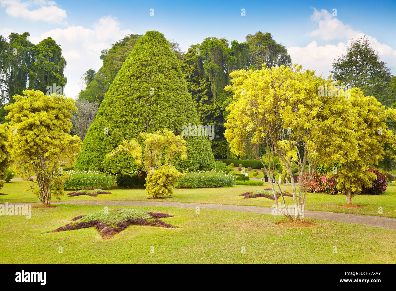 Sri Lanka - Kandy, Le Jardin botanique de Peradeniya Banque D'Images