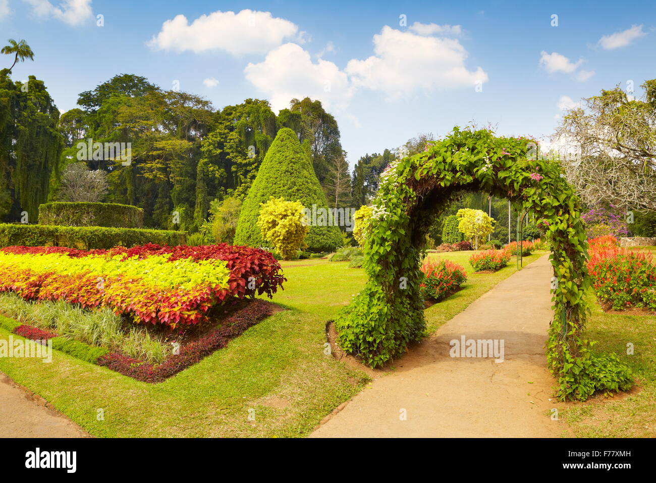 Sri Lanka - Kandy, Le Jardin botanique de Peradeniya Banque D'Images