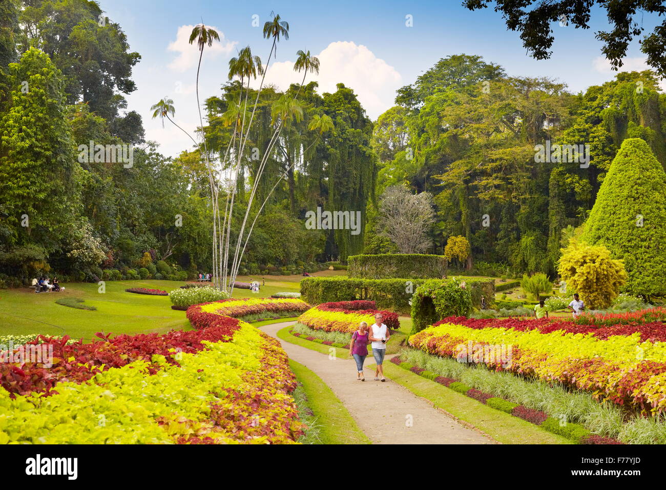 Sri Lanka - Kandy, Le Jardin botanique de Peradeniya Banque D'Images