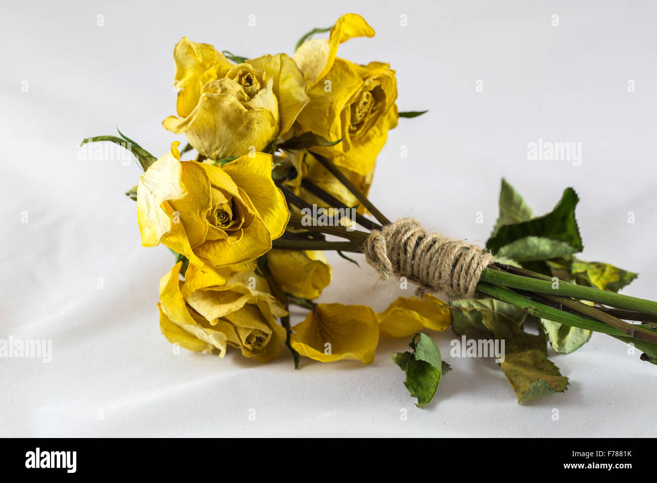 Paquet de roses jaunes secs attachés avec de la ficelle de jute Banque D'Images