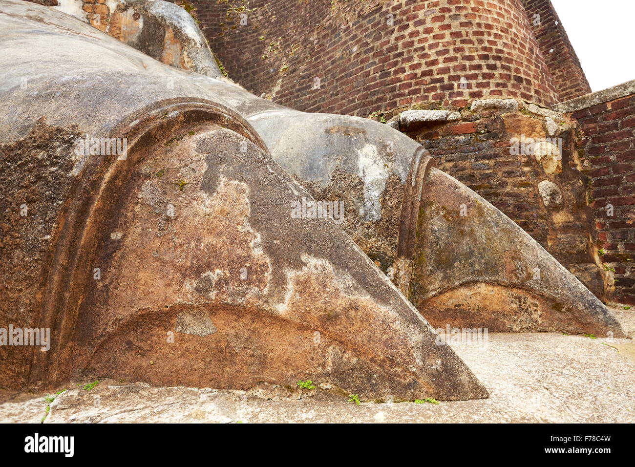 Sri Lanka - Lion's Gate détail, ancienne forteresse, Sigiriya, l'UNESCO Banque D'Images