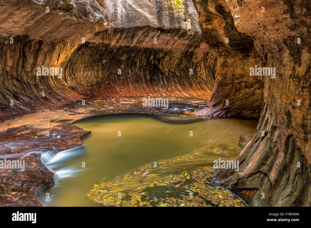 Les feuilles d'automne tourbillonnent dans les piscines de la caverne de métro unique sculptée par la gauche à la fourche de North Creek dans la région de Zion National Park, Utah. Banque D'Images