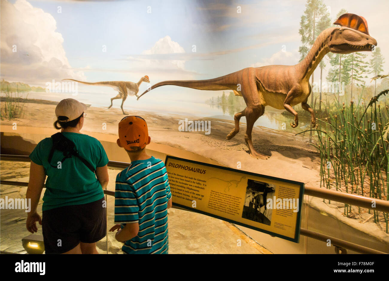 Dinosaur State Park à Rocky Hill, CT Banque D'Images