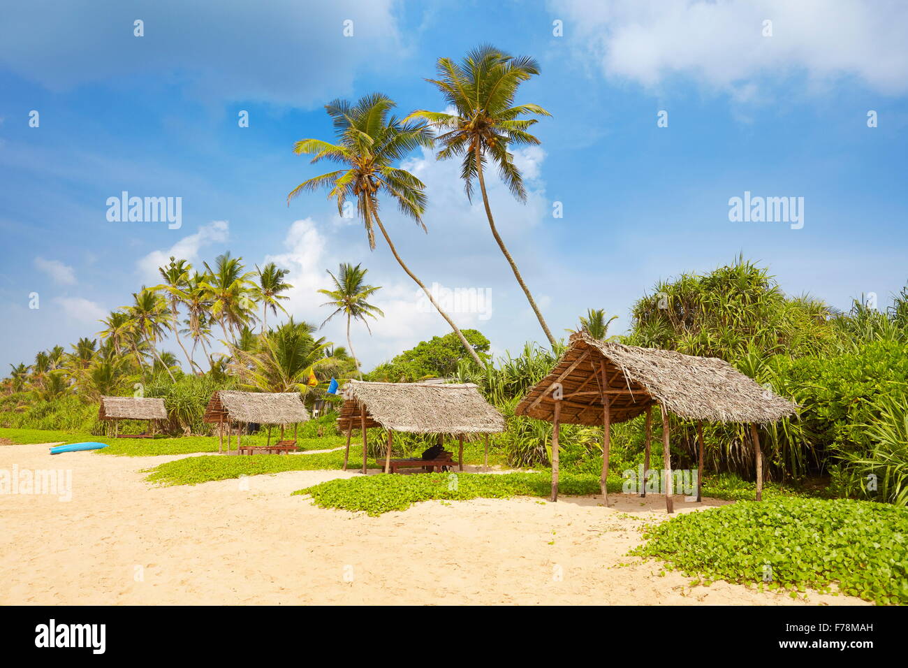 Sri Lanka - près de palm beach Koggala Banque D'Images