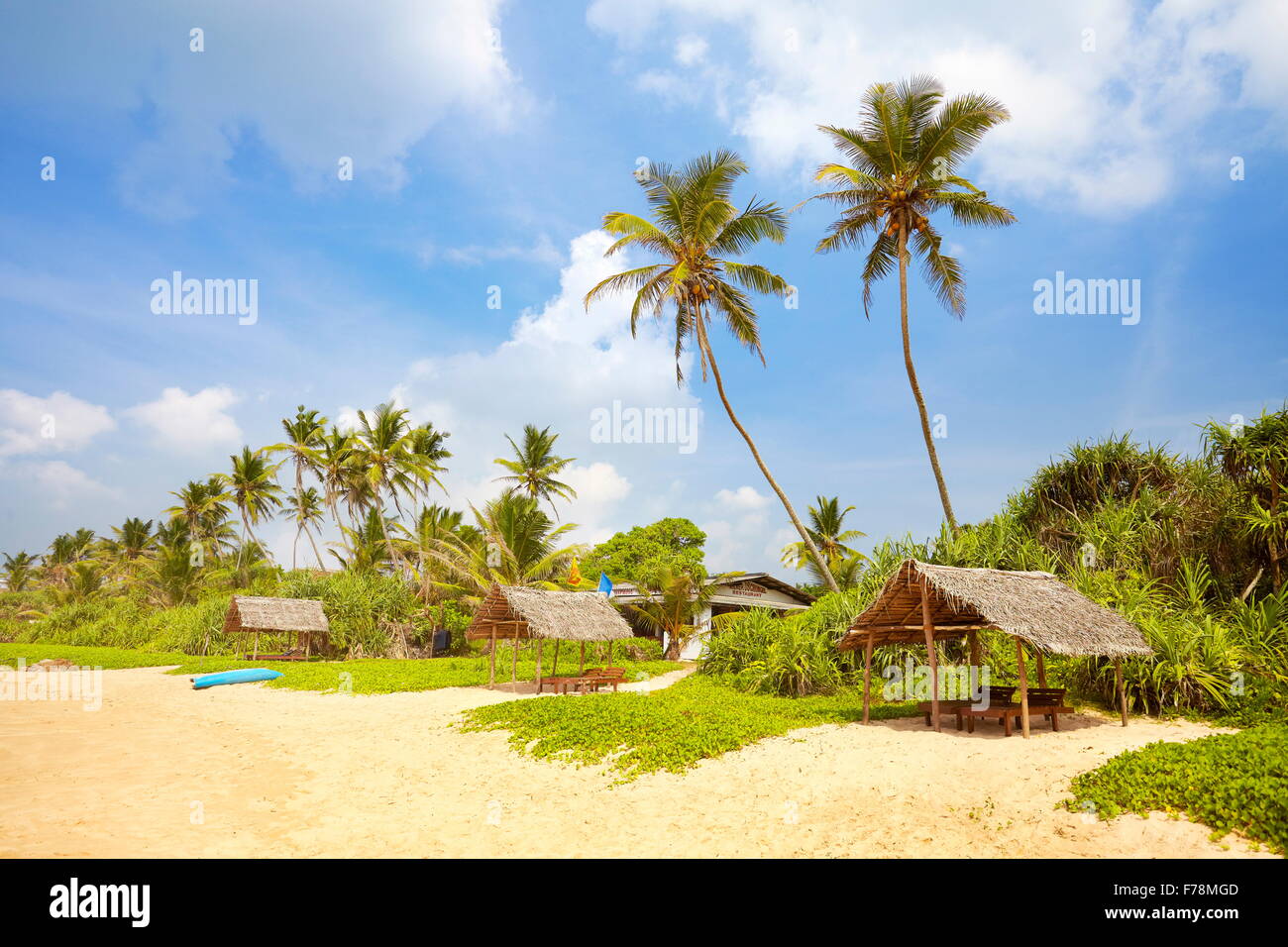 Sri Lanka palm beach près de Koggala, Asie Banque D'Images