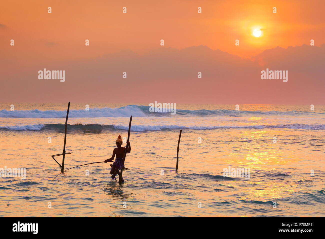 Échasse Sri-lankais au coucher du soleil, pêche Koggala Beach tropical, au Sri Lanka, en Asie Banque D'Images