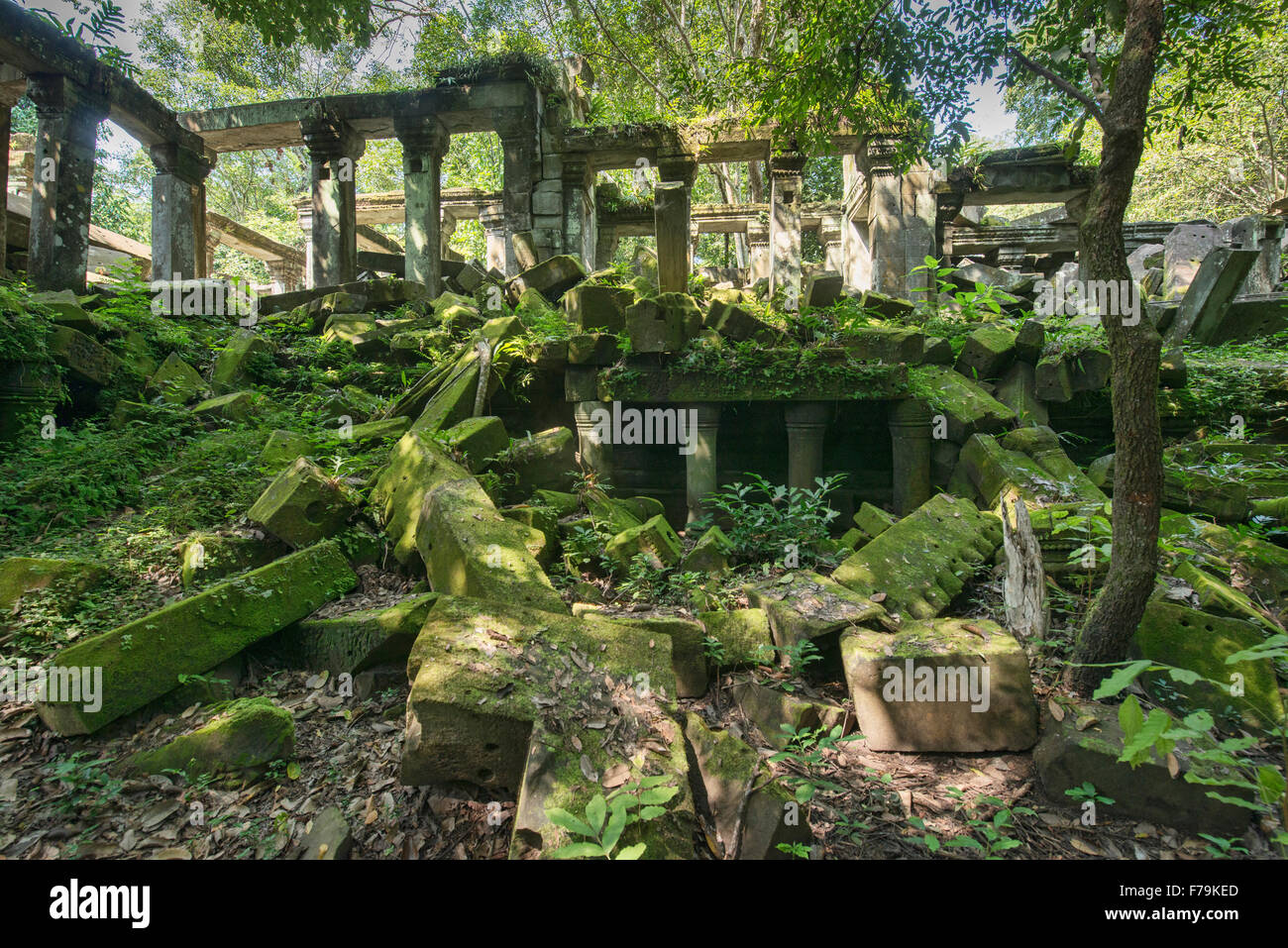 Jungle Temple Banque De Photographies Et D Images A Haute Resolution Alamy