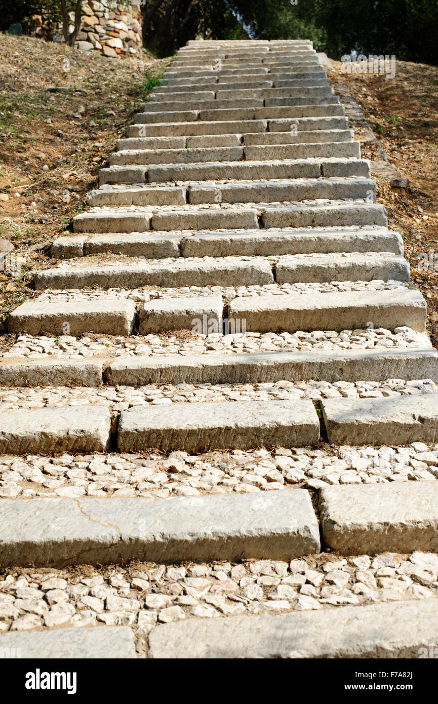 Fragment d'escaliers en pierre dans le jardin Banque D'Images