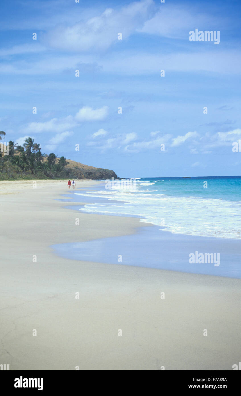 Zoni Beach, l'île de Culebra, Puerto Rico. Banque D'Images