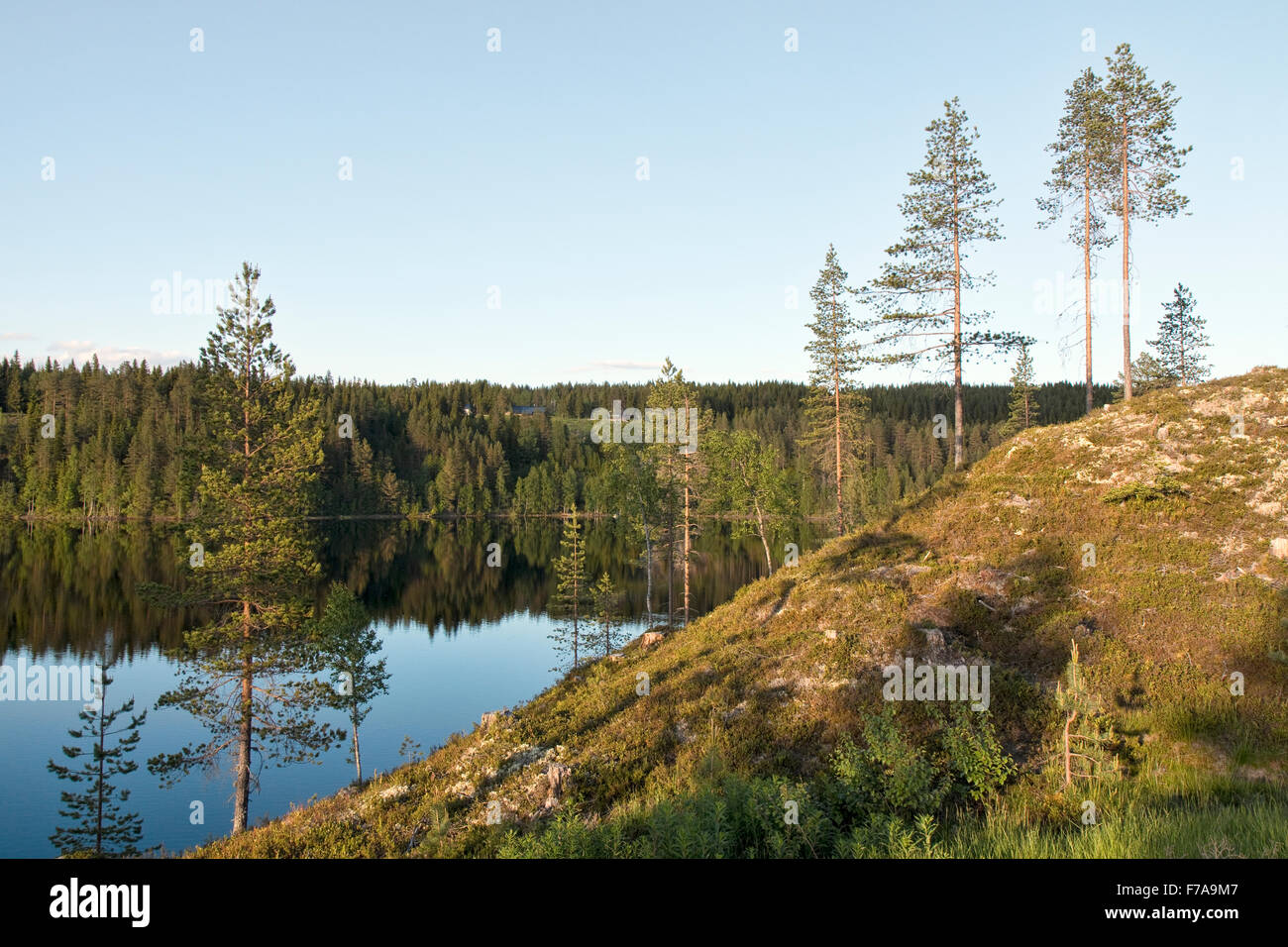 Hill au lac Osensjoen, Norvège, au coucher du soleil Banque D'Images