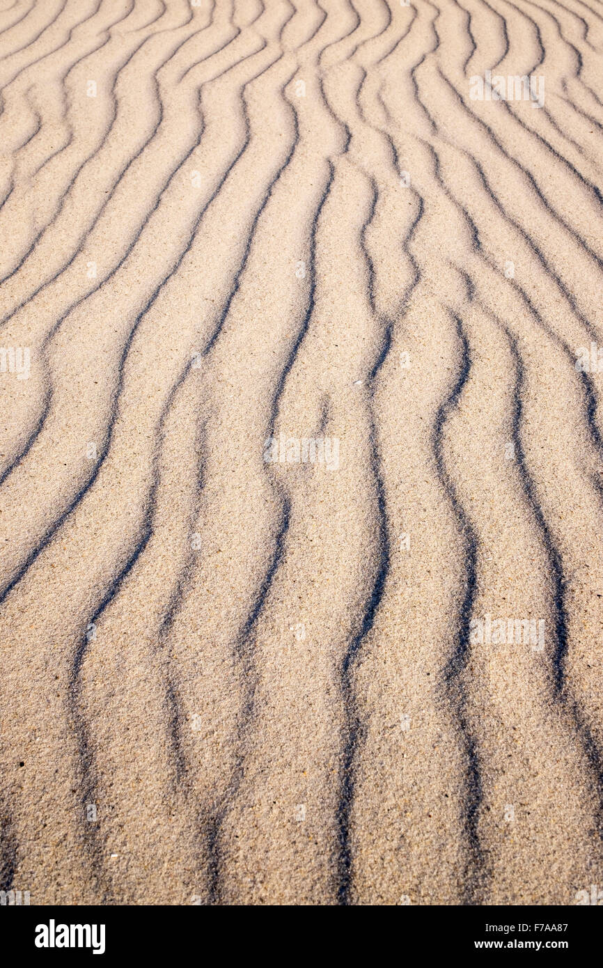 Lignes ondulées dans le sable, le Relais du lac plage, mer Baltique, né auf dem Darß, Fischland-darss-Zingst, Poméranie occidentale Lagoon Area Banque D'Images