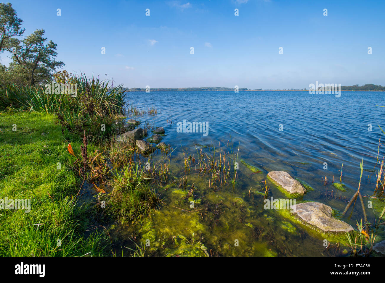 Het Twiske aire de loisirs est située au nord d'Amsterdam entre Zaanstad et Purmerend. Banque D'Images