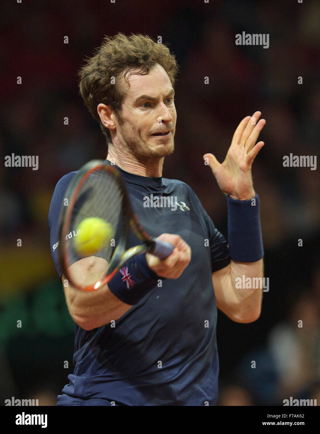 Gand, Belgique, le 27 novembre 2015, la finale de la Coupe Davis, Belgium-Great la Grande-Bretagne, deuxième match, Andy Murray (GBR) Credit : Henk Koster/Alamy Live News Banque D'Images