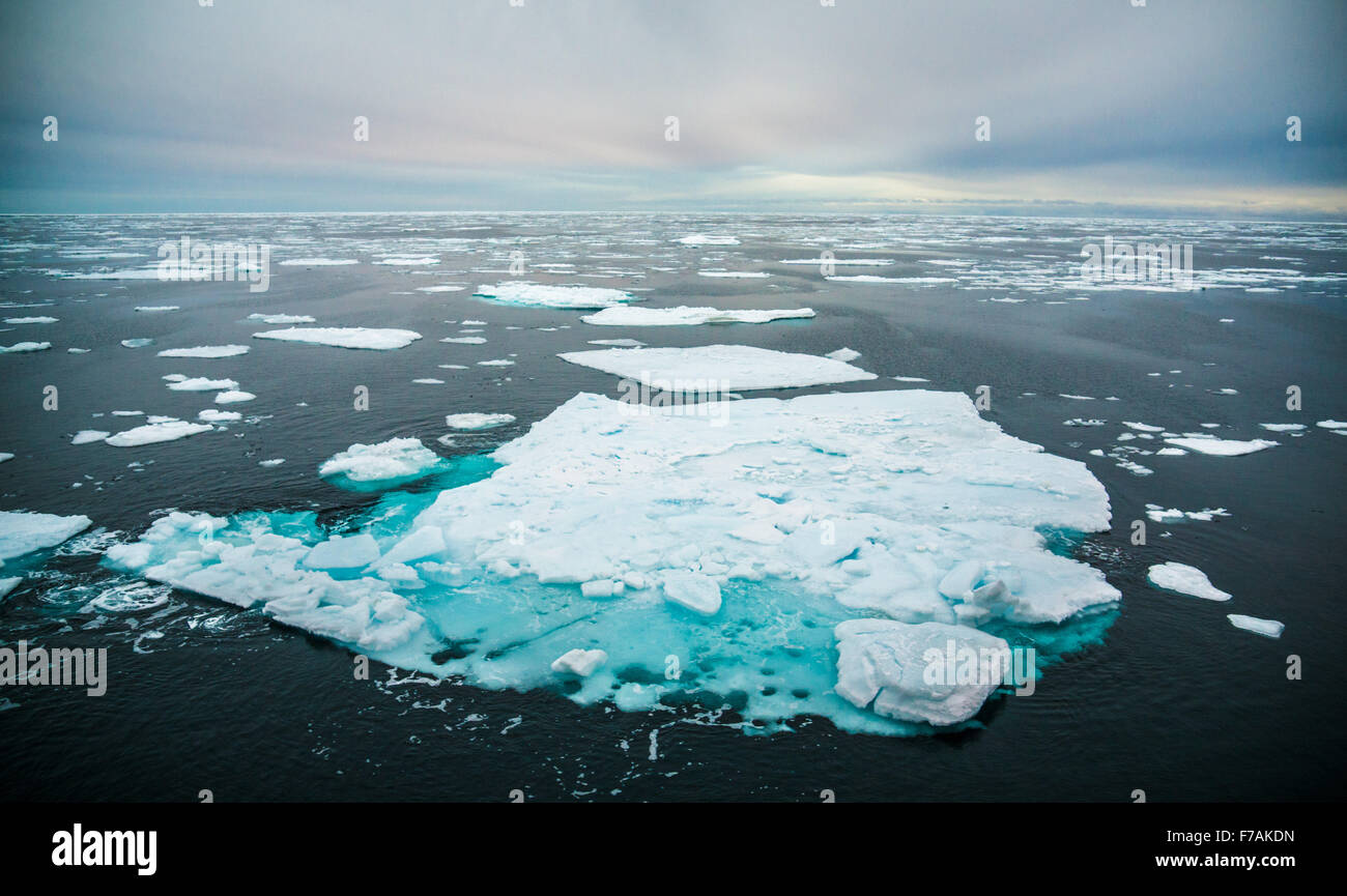 Dans la glace Banque D'Images