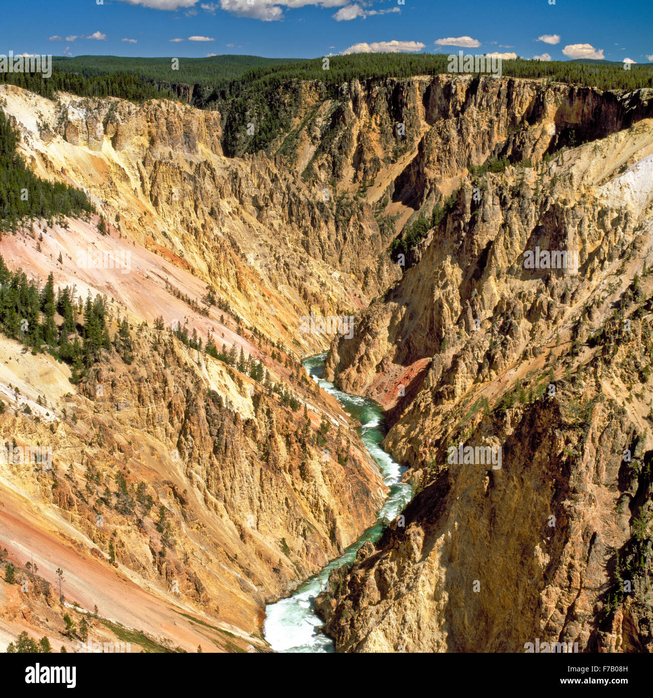 Grand canyon de la Yellowstone river in Yellowstone National Park, Wyoming Banque D'Images