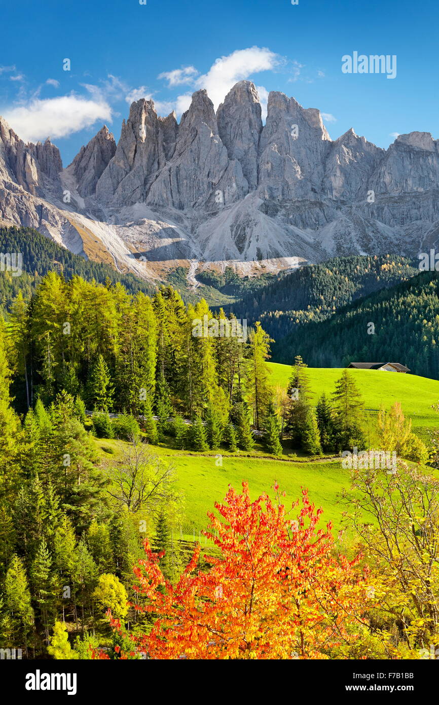 Val Di Funes dans la couleur en automne, Tyrol, Montagnes des Dolomites, Alpes, Italie Banque D'Images