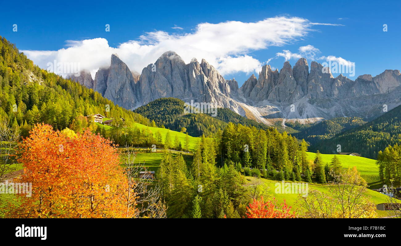 L'automne à Santa Maddalena, Montagnes des Dolomites, Tyrol, Val Di Funes, Italie Banque D'Images