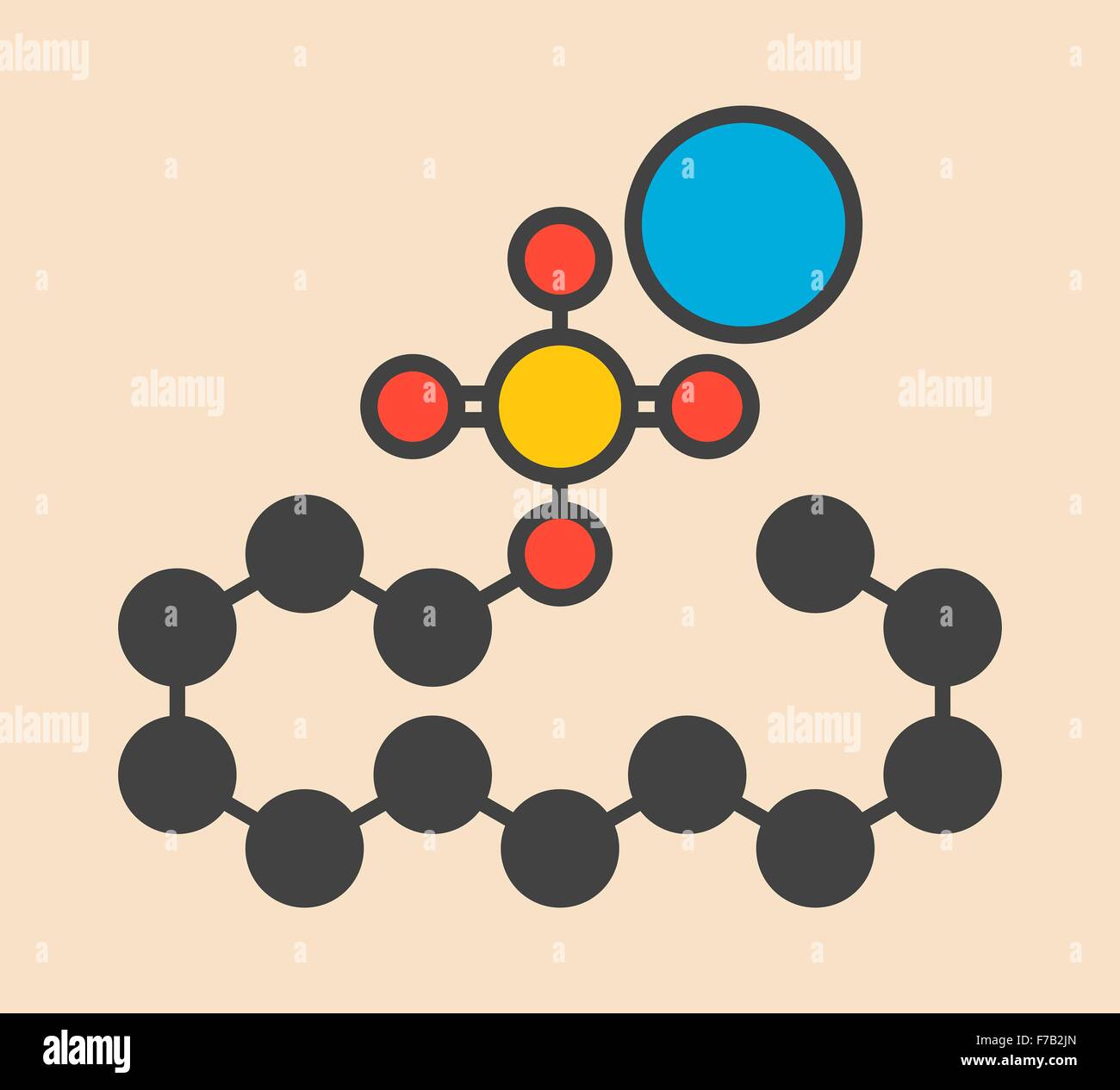 Le dodécylsulfate de sodium (SDS, laurylsulfate de sodium) molécule de surfactant. Couramment utilisé dans les produits de nettoyage. Squelettique stylisé Banque D'Images