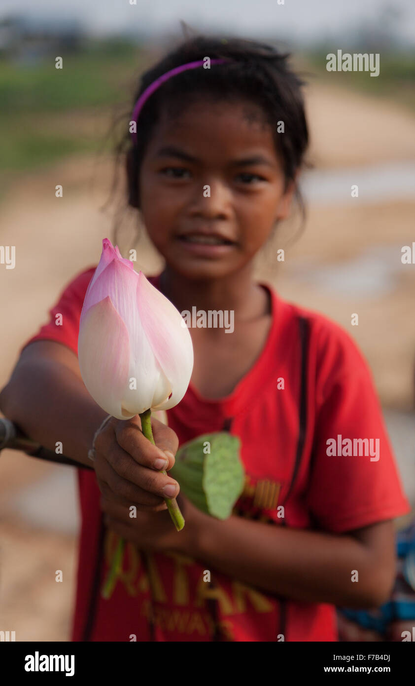 Fille cambodgienne donnant une fleur de lotus frais Banque D'Images