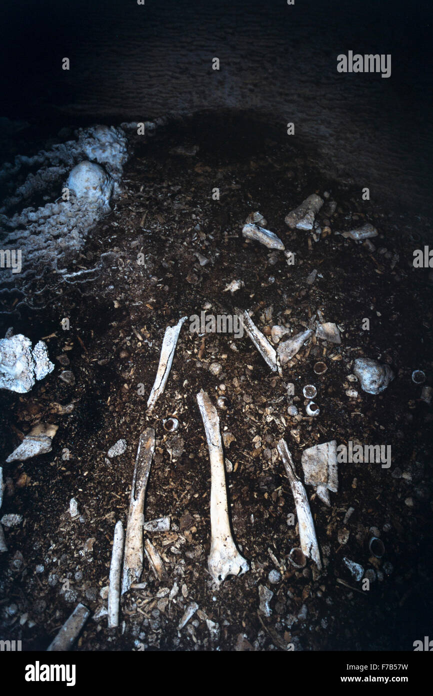 Cimetière dans une grotte calcaire de Mangia dans les îles Cook. Banque D'Images