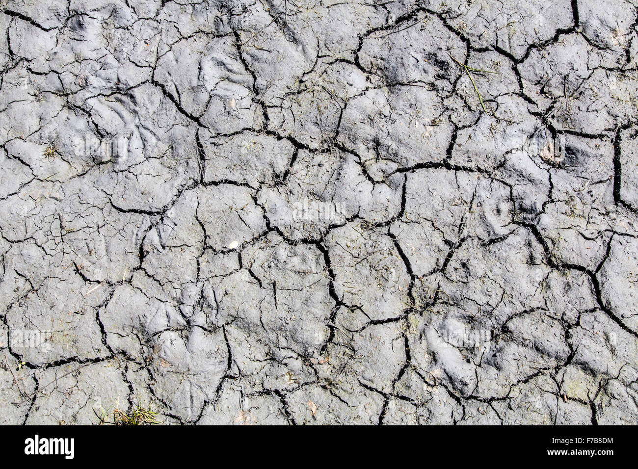 La sécheresse du sol par des fissures, de la sécheresse, sécheresse, Banque D'Images