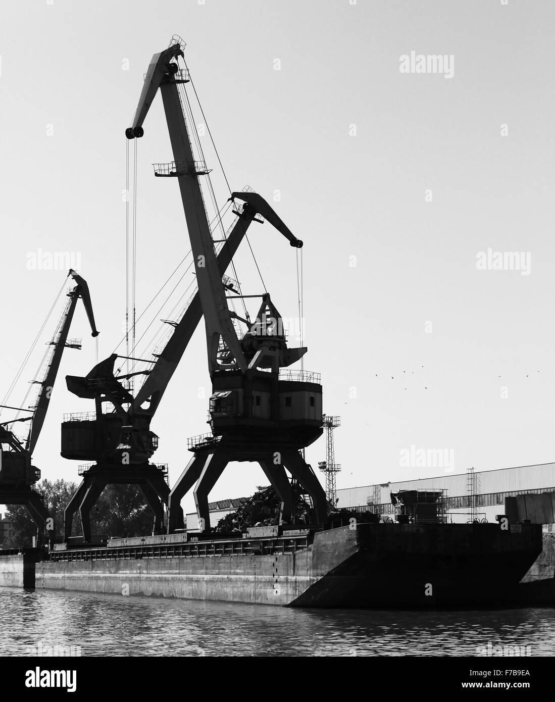 Les silhouettes sombres des grues portuaires, Danube, la Bulgarie. Photo en noir et blanc Banque D'Images