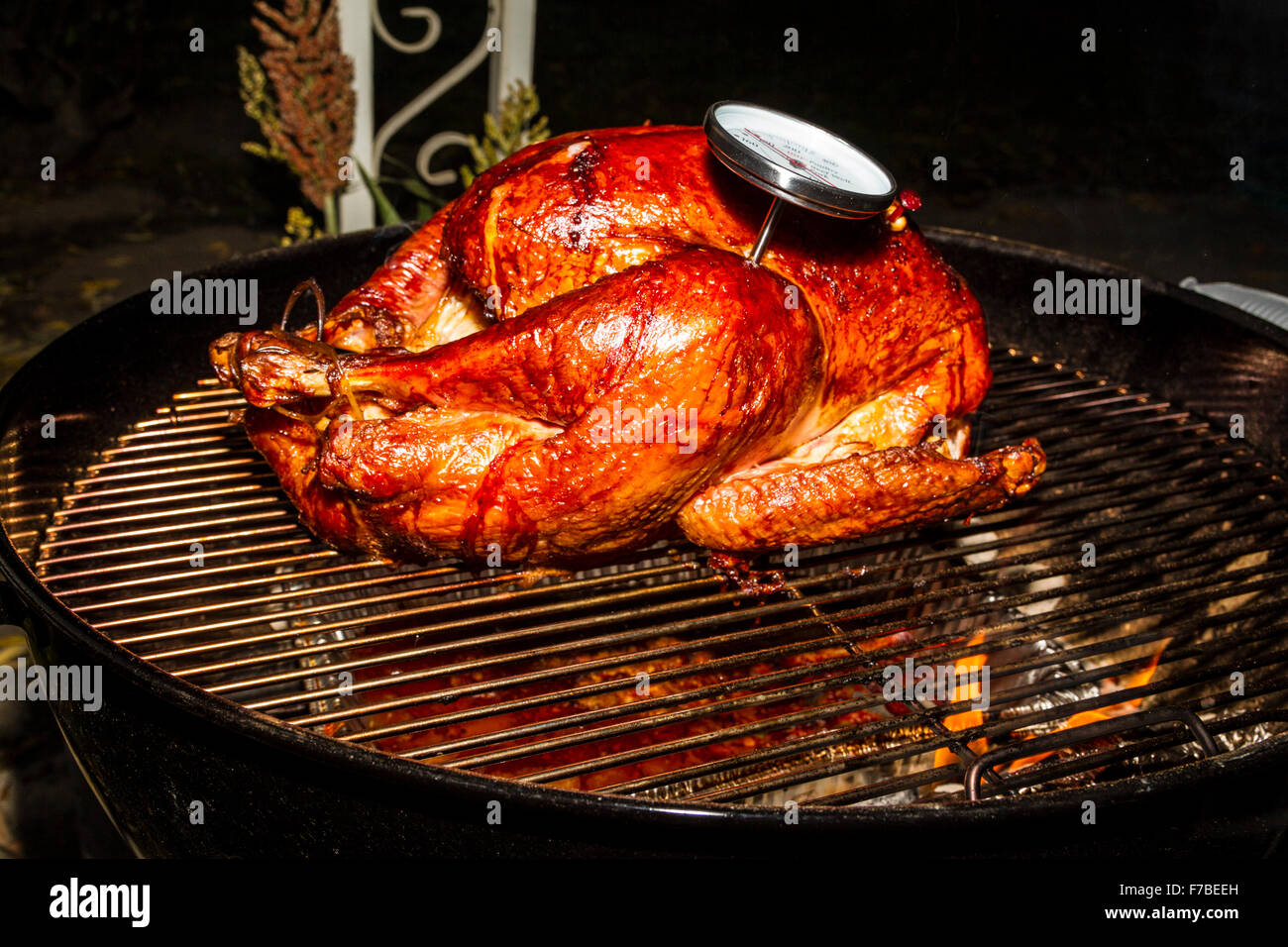 Un sel rub brined dinde de Thanksgiving cuits sur un barbecue Weber électrique avec thermomètre à viande indique le degré de cuisson Banque D'Images