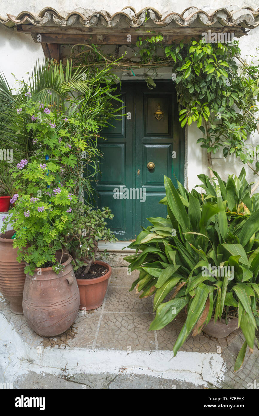 Urnes grecques rempli de plantes se tiennent à l'extérieur d'une porte, Corfou, Grèce. Banque D'Images