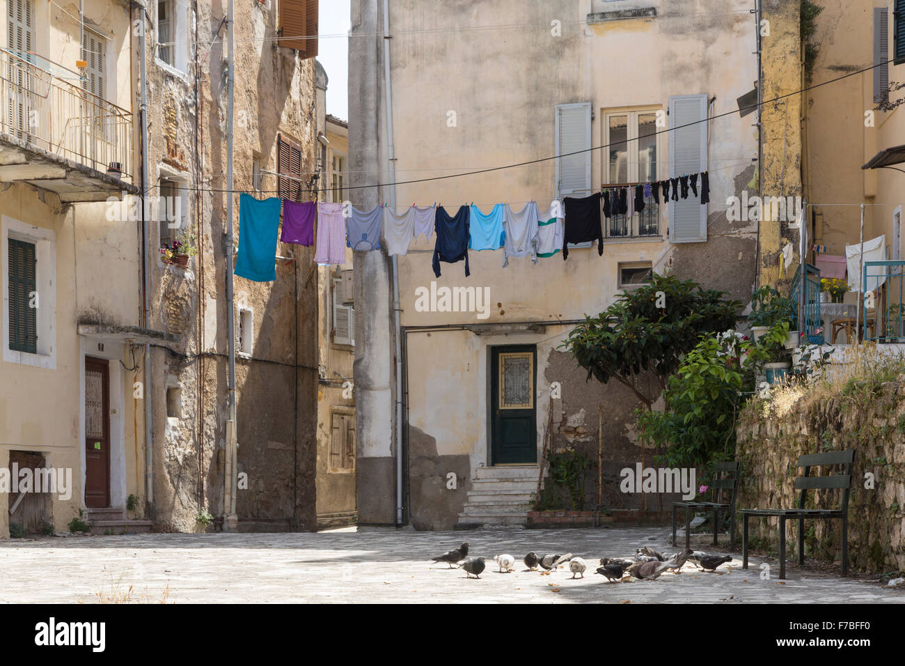L'alimentation des pigeons dans une rue de la ville de Corfou. Corfu Banque D'Images