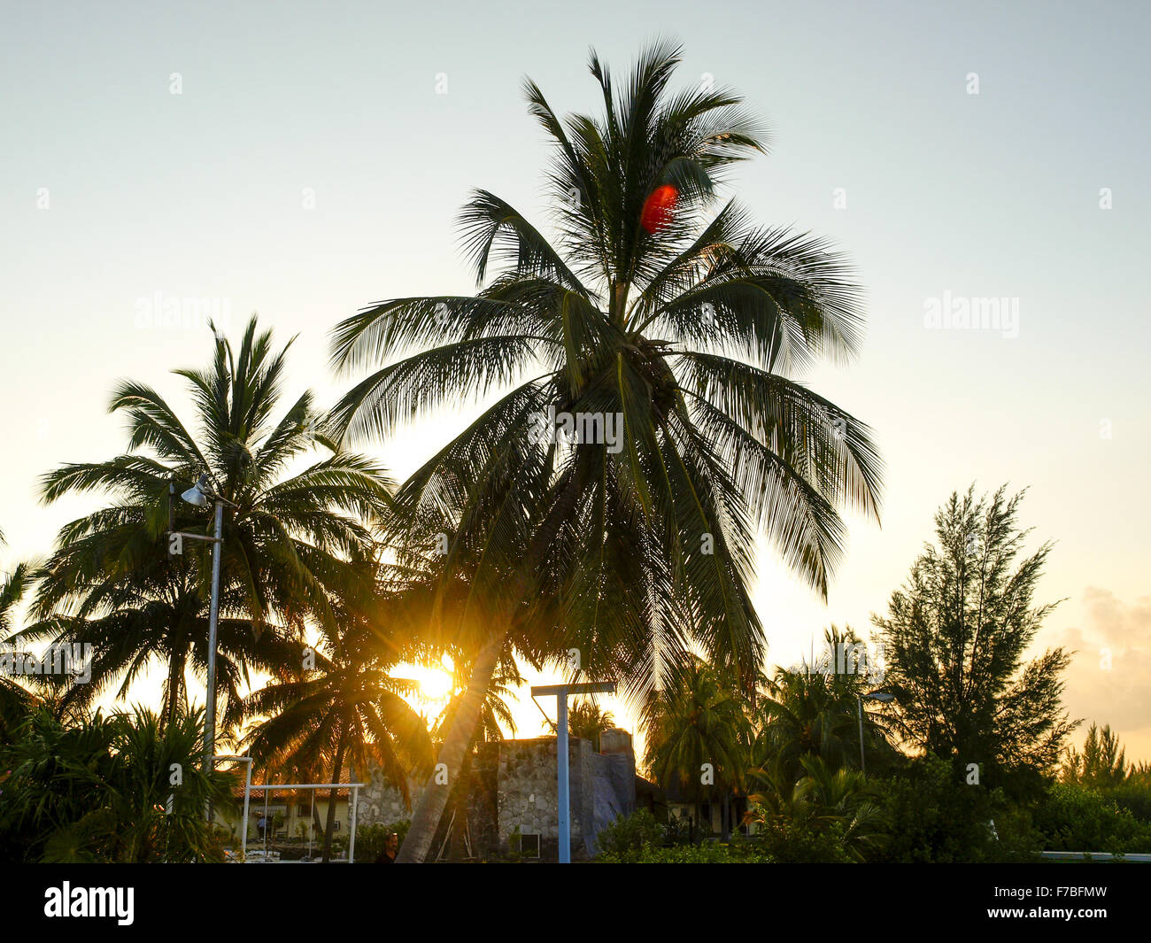 Cayo Largo del Sur, Cuba Banque D'Images