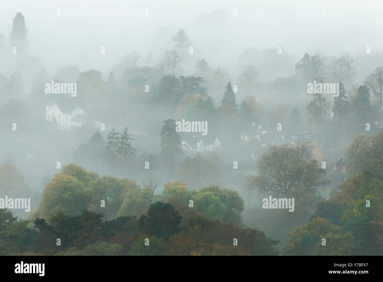 Un épais brouillard est entourant les maisons et jardins de Colwall, collines de Malvern, Herefordshire. Banque D'Images