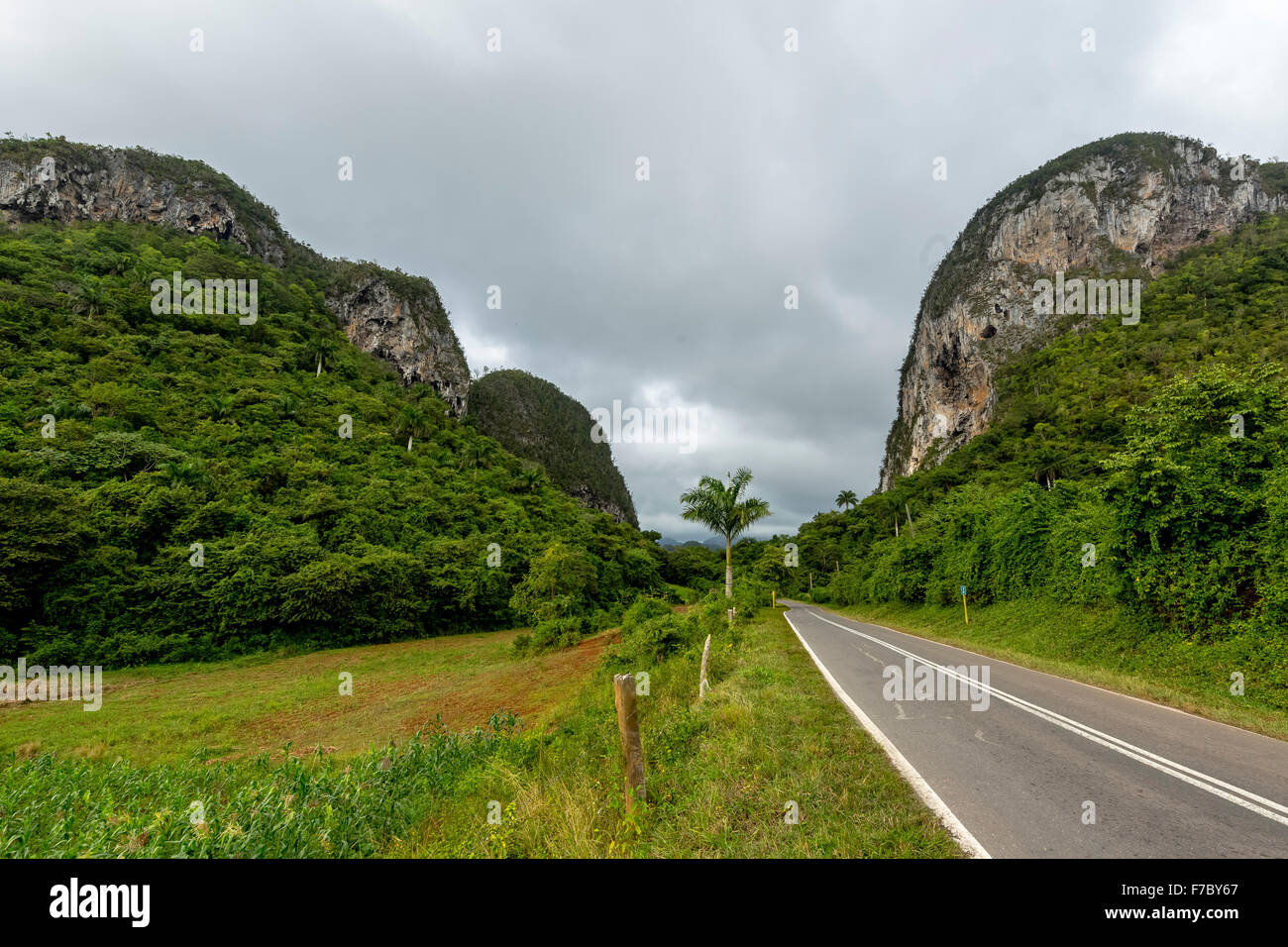 Route de campagne avec bande médiane à Vinales, montagne karstique dans la vallée de Vinales, Cuba, Vinales, Pinar del Rio, Cuba, Banque D'Images