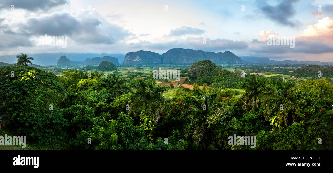 Vallée de Vinales avec montagnes karstiques, vue de l'hôtel Los Jazmines la vallée, vue panoramique, collines, Viñales, Cuba, Banque D'Images