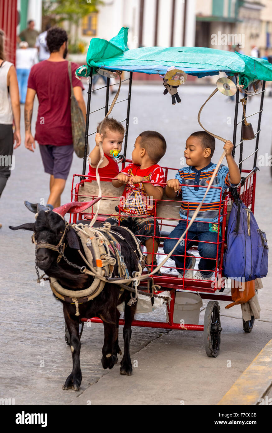 Plaisir des enfants, tirée par un chariot de chevreaux, à la vie dans la rue dans le centre de Santa Clara à Parque de Santa Clara, Santa Clara Banque D'Images