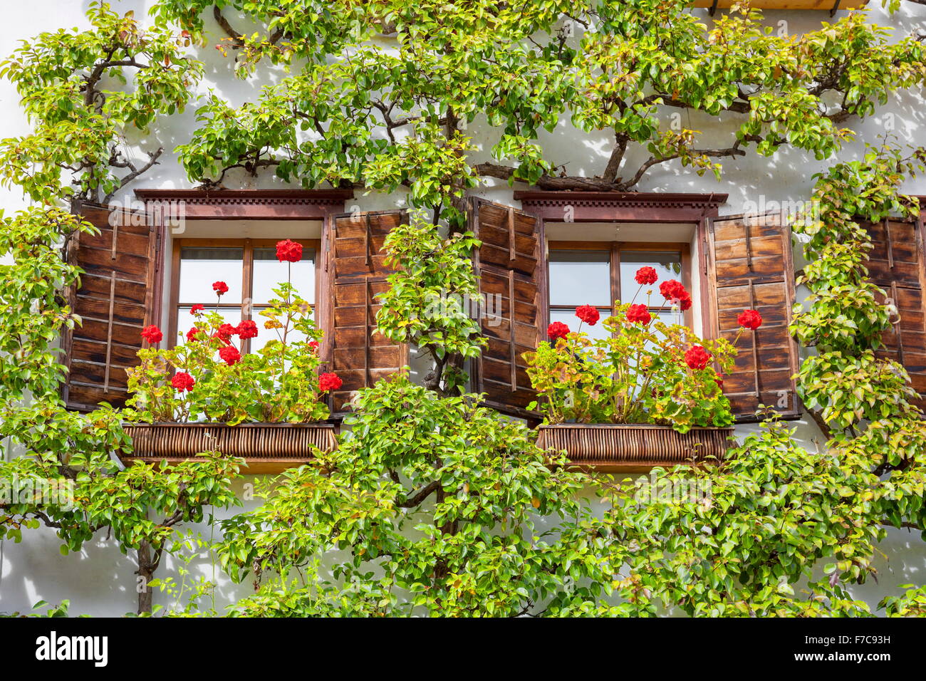 Fenêtres avec des fleurs, Hallstatt, Salzkammergut, Autriche Banque D'Images