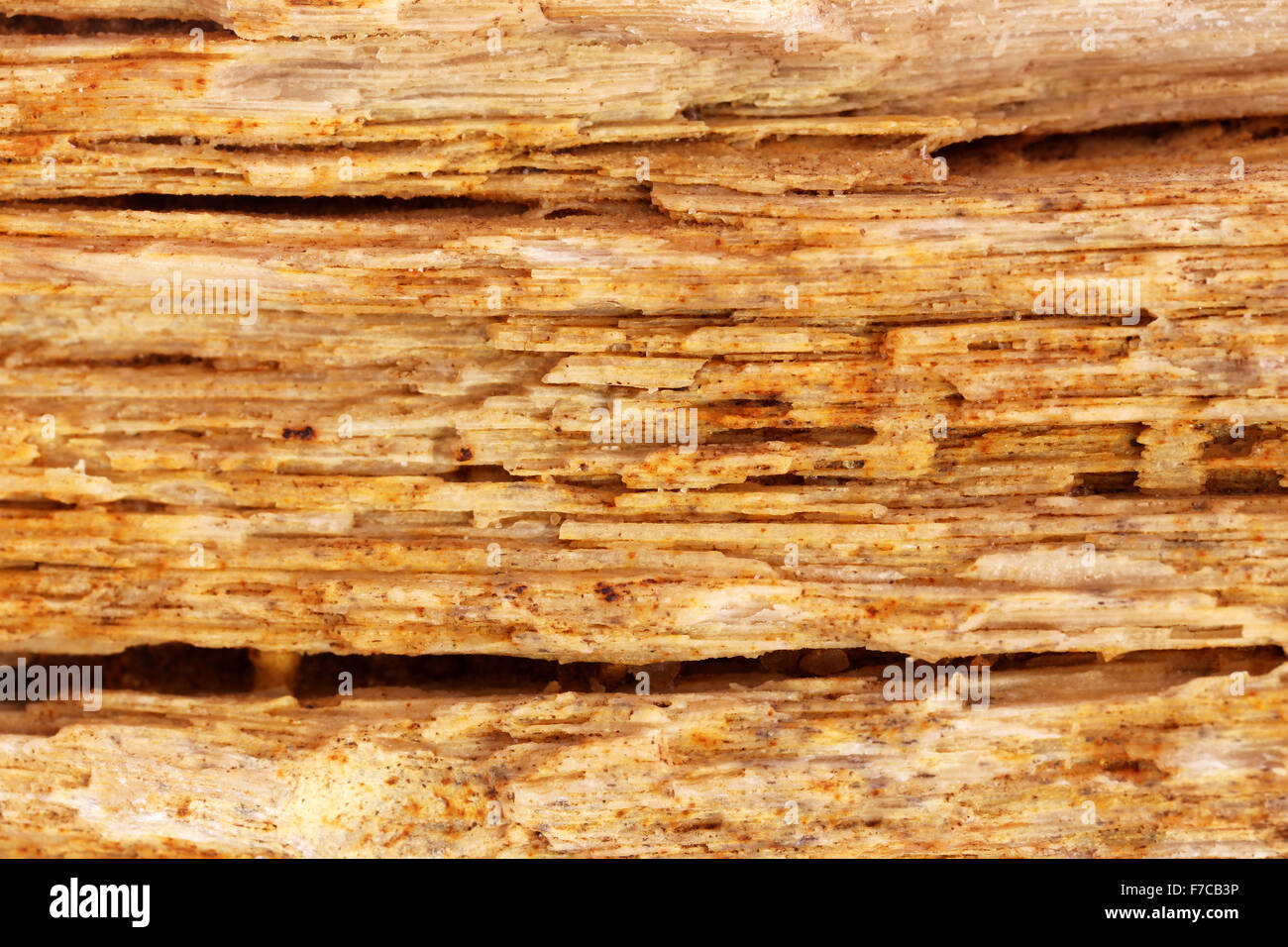 Fond doré de roche sédimentaire Banque D'Images