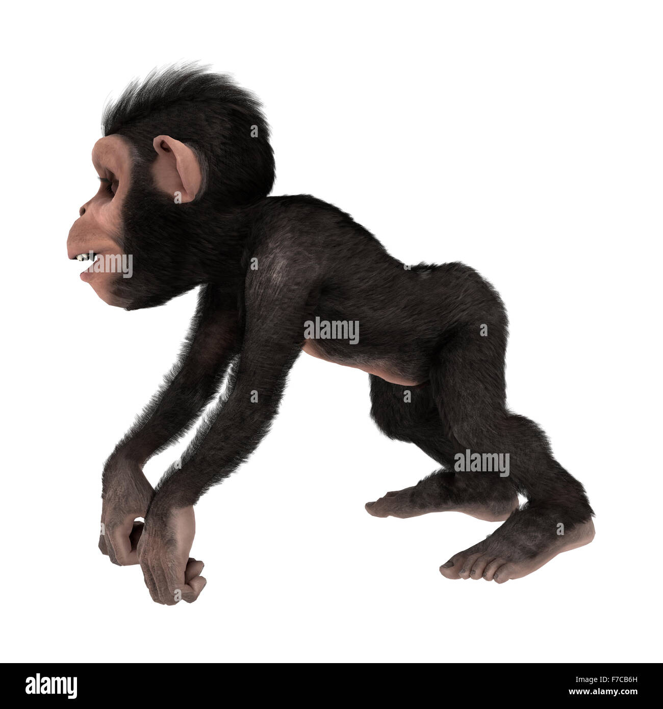 Numérique 3D render of a peu de singe chimpanzé isolé sur fond blanc Banque D'Images