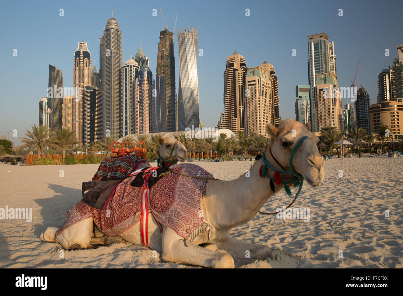 Plage de Jumeirah Beach Resort (JBR) au quartier du port de plaisance de Dubaï Émirats Arabes Unis Banque D'Images